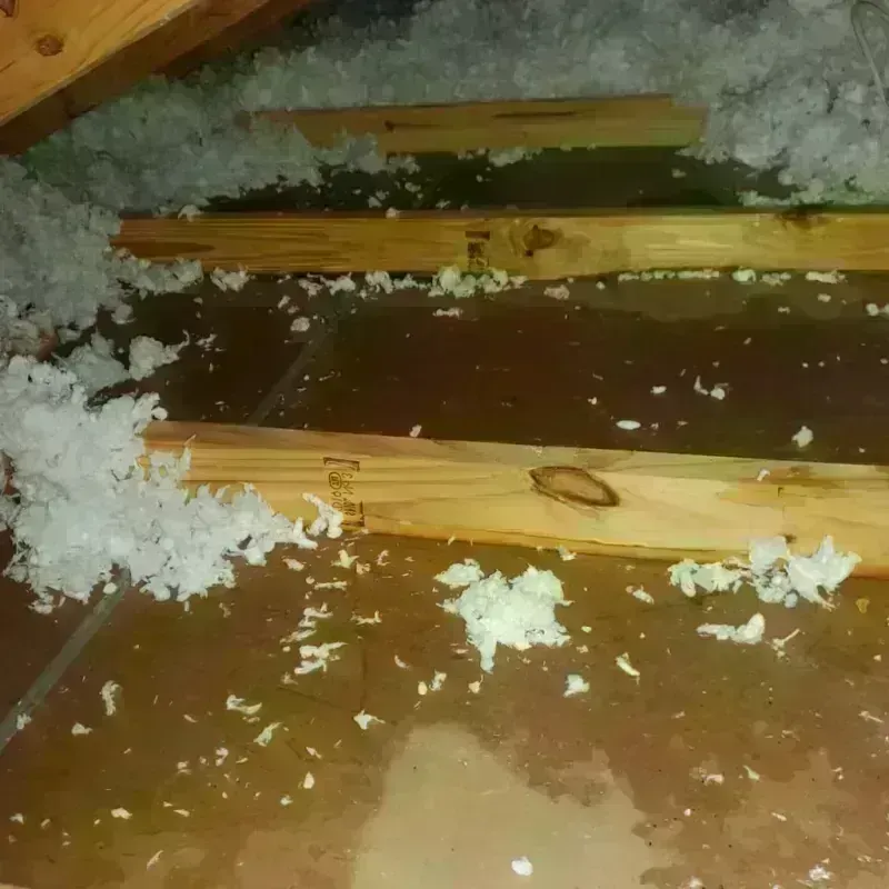 Attic Water Damage in Jackson, MI