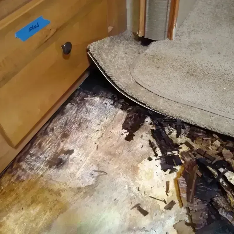 Wood Floor Water Damage in Jackson, MI